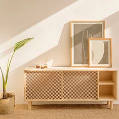 a living room scene with focus on the sideboard and potted plant in the foreground