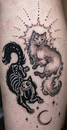 an image of two cats and a dog on the thigh with stars in the background