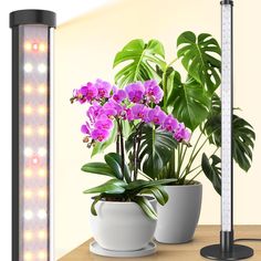 T10 LED Grow Light Grow Light Stand, Content Space, Solar Spot Lights, Plant Light, Greenhouse Plants, Grow Lights For Plants, Standing Table, Led Grow Light, Indoor Plant Care