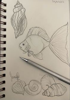 a pencil drawing of some fish and seashells next to a spiralle notebook