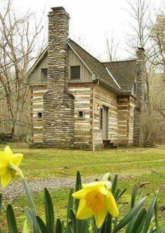 two yellow flowers in front of an old log house