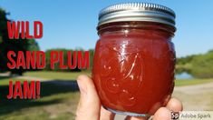 a hand holding a mason jar filled with red liquid and the words wild sand plum jam