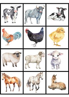 an image of farm animals in different colors