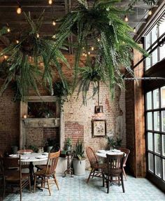 an indoor dining area with tables, chairs and potted plants hanging from the ceiling