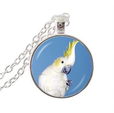 Womens jewellery white parrot pendant necklace silver chain statement necklace glass cabochon pendant for bird lover's gifts Vintage Parrot, Handmade Chain, Long Necklaces, Natural Stones Necklace, Cabochon Pendant, Bird Photo, Stainless Steel Pendant, Glass Dome, Necklaces For Women