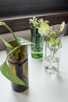 three vases with plants in them sitting on a table