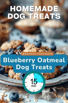 blueberry oatmeal dog treats on a plate with the text homemade dog treats