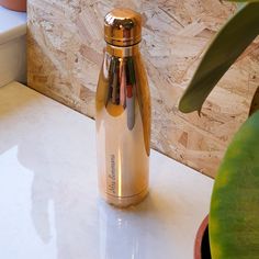 a gold colored bottle sitting on top of a counter next to a potted plant