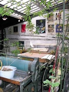 there are many plants growing in the potted planter on the table and behind it is an old machine