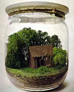 a glass jar filled with water and moss covered in rocks, grass and trees on the inside