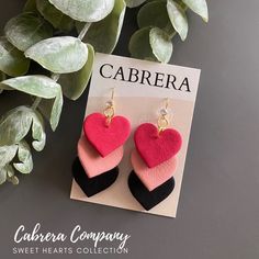 a pair of heart shaped earrings sitting on top of a card next to a plant