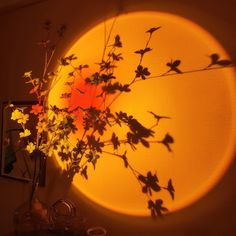 a vase with some flowers in it sitting next to a wall mounted clock and light