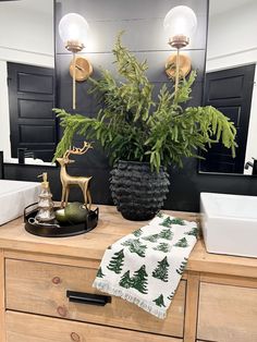 a bathroom with a sink, mirror and plant in the middle on top of a dresser