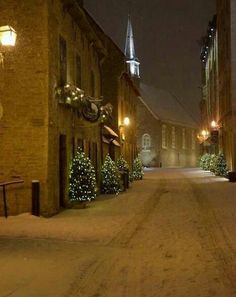 a snowy street with christmas trees and lights