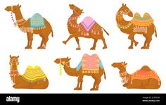 the camels are decorated with different colors and patterns