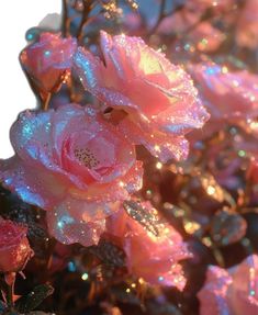 #Pink #roses #pretty #shine #glitter #sparkles #aesthetic Pink Faerie Aesthetic, Flower Wallpapers For Iphone, Sara Shakeel, Entrepreneur Woman, Creative Collage, Woman Entrepreneur, Pink Magic, Ethereal Aesthetic, Flower Wallpapers