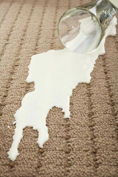 Spilled milk on carpet is one of those spills that need to be taken care of as soon as possible. The milk may not leave much of a stain, but the real worry is the smell. Spilled milk on carpet has the potential to smell terrible--especially if you don't notice it for a while. Arm And Hammer Super Washing Soda, Carpet Smell, Dawn Dishwashing Liquid, Cleaning Inspiration, Carpet Cleaner Homemade, Spilled Milk, Carpet Cleaning Hacks, Washing Soda, Diy Cleaning Hacks