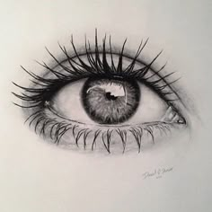 a pencil drawing of an eye with long lashes on the outside of it's iris