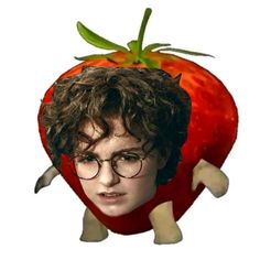 a young boy with glasses and a fake tomato on his head