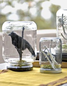 three glass jars filled with different types of plants and animals in them sitting on a table