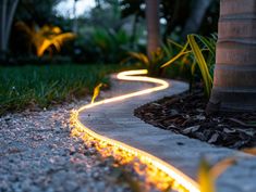 a path that is lit up in the night with light coming from it and some plants