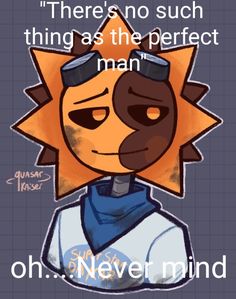 an image of a cartoon character with the quote there's no such thing as the perfect man