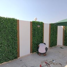 a person sitting on the ground in front of a wall covered with green ivys