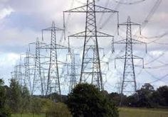 an electric power line with sheep grazing in the foreground and trees on the far side