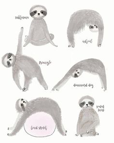 four different types of sloths with names and pictures on the front, side, and back