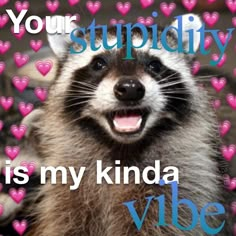 a raccoon with hearts in the background that says, your stupidity is my kinda vibe