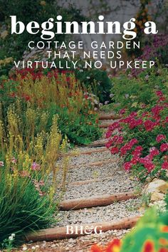 the cover of 6 steps to a no - work cottage garden