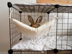 a small animal in a cage on top of a bed