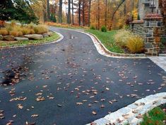 a paved road in the middle of a wooded area with lots of leaves on it