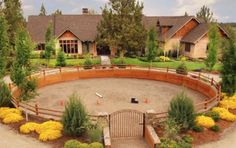 an aerial view of a horse ranch with yellow flowers in the foreground and trees around it