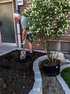 an older man is digging in the ground with a shovel and weeding it up