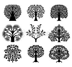 six different trees with swirls and leaves