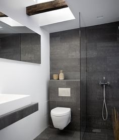 a white toilet sitting in a bathroom next to a walk in shower under a skylight