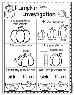 pumpkin themed worksheet for kids to practice their writing and spelling the word in