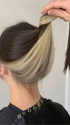 Different Color Underneath Hair, Blonde Hidden Hair, Light Underneath Dark On Top Hair, Sunk Hairstyles, Coloring Under The Hair, Long Brown Hair With Blonde Underneath, Discreet Hair Color, Brown Over Blonde Hair, Easy Diy Hair Dye Ideas