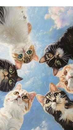 a group of cats standing next to each other on top of a blue sky background