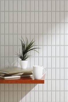 two coffee mugs and a plant on a shelf in front of a white tiled wall