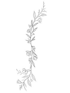 a black and white drawing of a branch with leaves