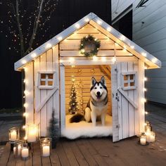 a husky dog sitting in a small wooden house with christmas lights on the roof and around it