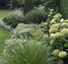 a garden filled with lots of green and white flowers next to a lush green lawn