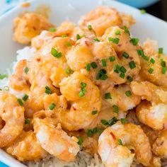 a white plate topped with rice covered in sauce and shrimp next to green onions on top of it