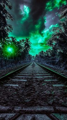 an image of a train track that is going through the forest at night time with green lights