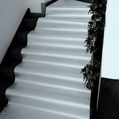 a black and white photo of a stair case with plants growing on the top edge