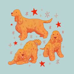 three golden retriever puppies sitting in front of star shaped stars on a blue background