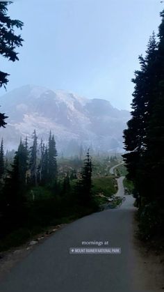 the road is surrounded by trees and mountains