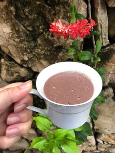 a hand holding a cup of hot chocolate in front of a rock wall and red flower